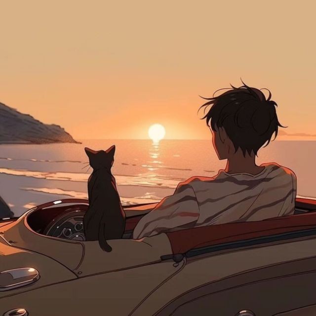 五猫