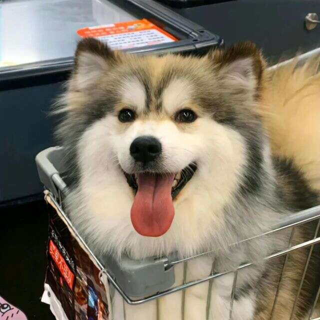 头像