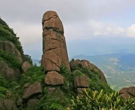 唐牛牛才是真的食神