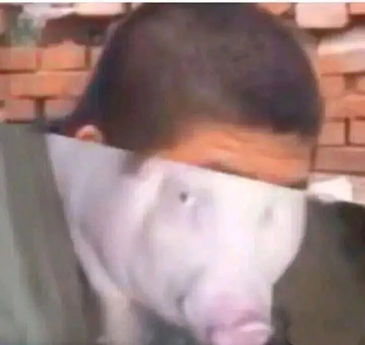 过时的废物