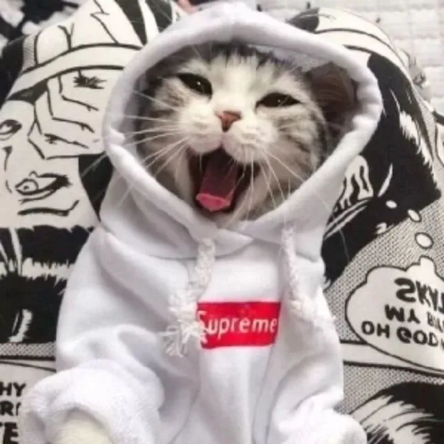 水田月