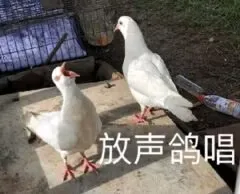 永乐