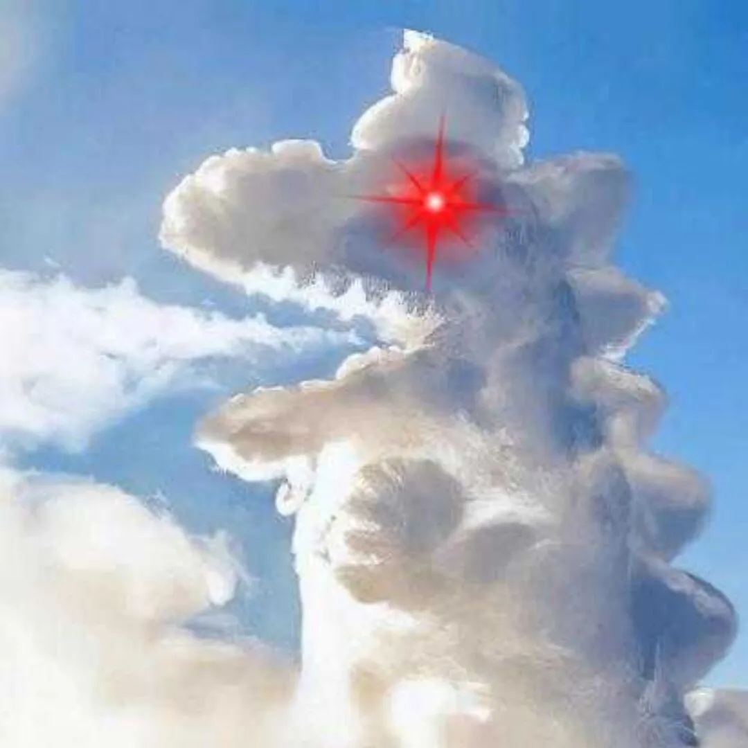 高冰果