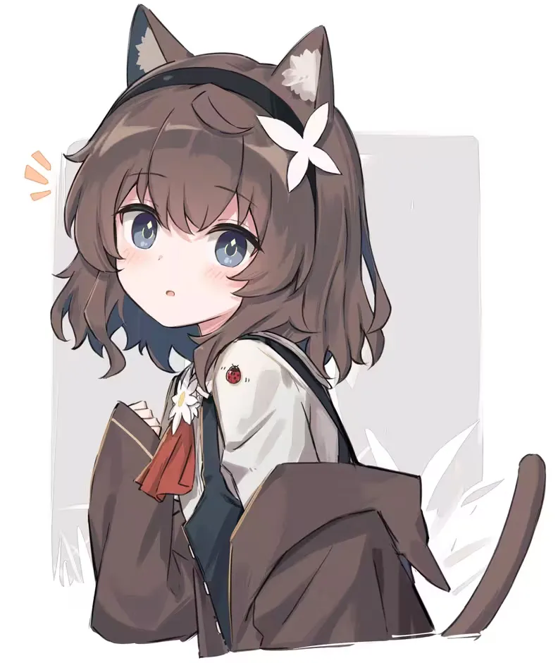 萌新小Owl